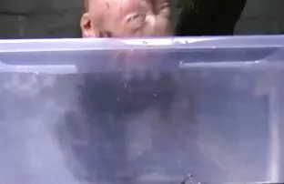 XXX Das like ich sex xxx thu Orgie 2